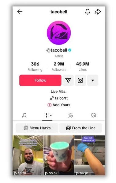 things to put in your tiktok bio