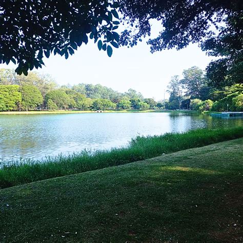 things to remember when visting a park