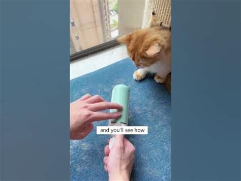 Things To Use Instead Of A Lint Roller