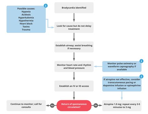 third degree heart block acls algorithm