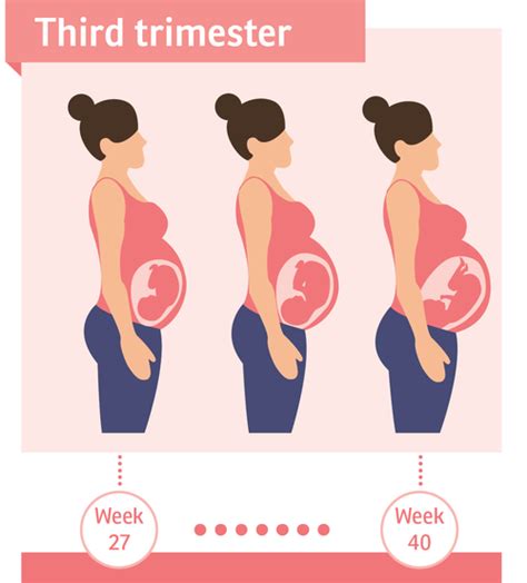 third trimester changes in body