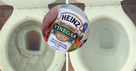 What will happen if you put vinegar into a toilet every night! No More Secrets YouTube