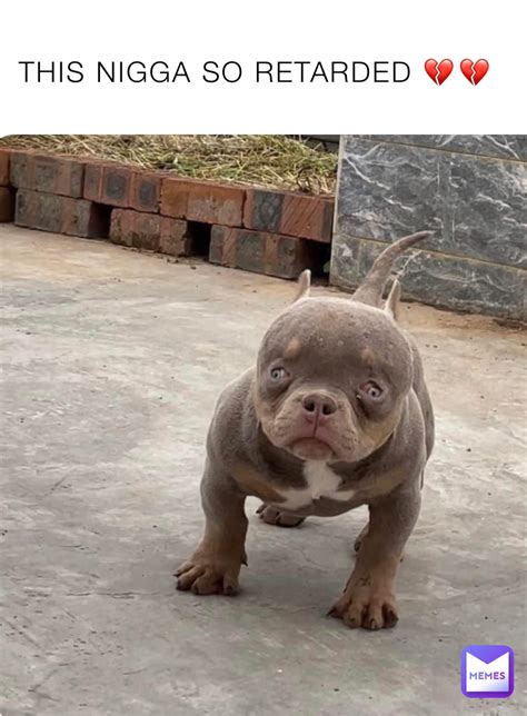 this nigga retarded