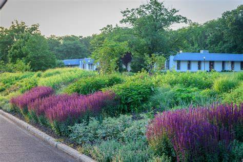 Landscape architecture Thomas Rainer and the vegetable social network