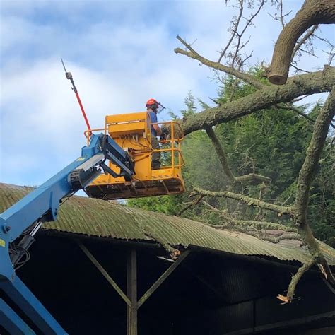 thompson tree care ltd