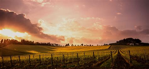 thomson funeral system