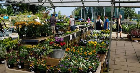 thornbury garden centre bristol