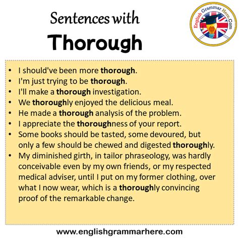 thorough in a sentence examples