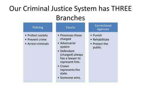 three branches of criminal justice system