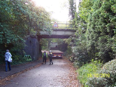 The Best Three Cherry Trees Lane Popular