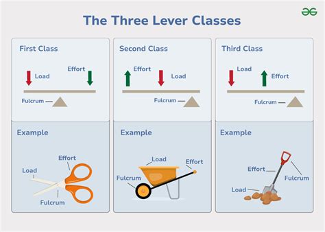 Three Examples Of A Third Class Lever