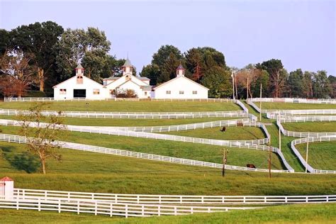 Three Horse Farms