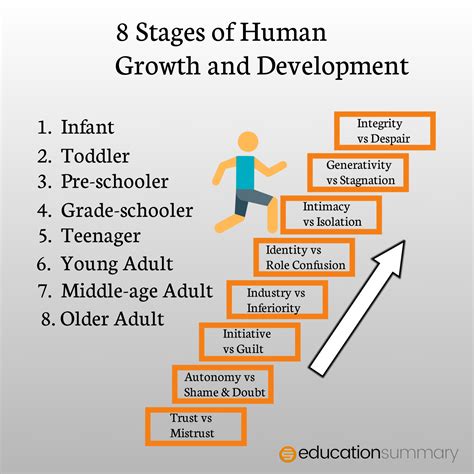 three stages of human development with examples