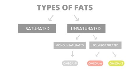 Three Types Of Natural Fats