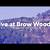 thrive at brow wood