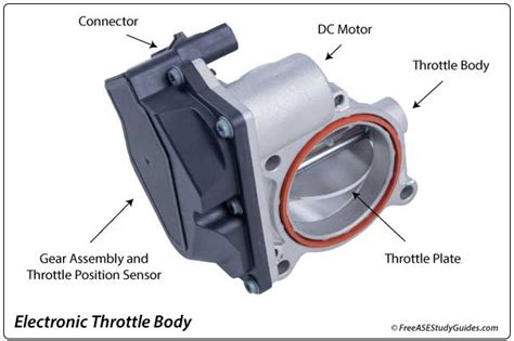 Throttle Actuator Sensor