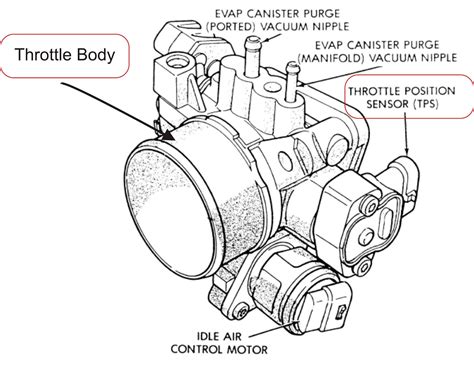 Throttle Body Problems Sensor