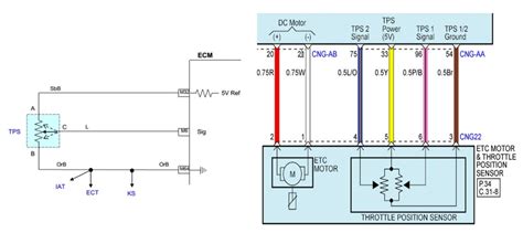 Throttle Position Sensor Circuit Switch