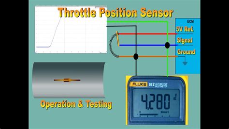 Throttle Position Sensor Graph