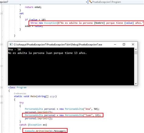 Throw New Exception Parameters C#