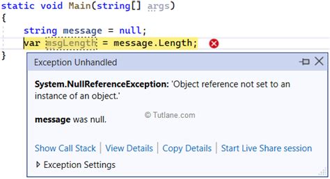 Throw Null Reference Exception In C#
