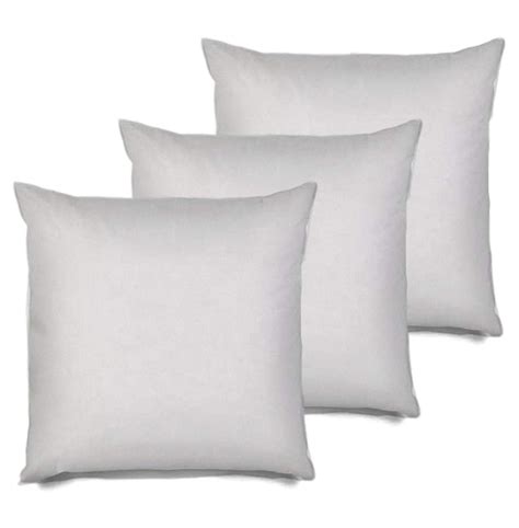 Throw Pillow Inserts 22X22