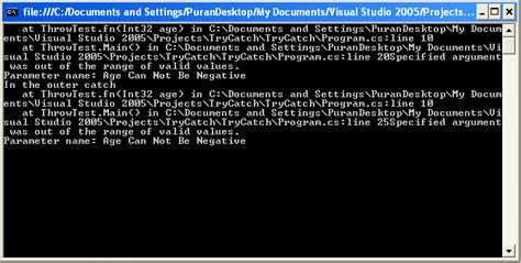 Throw Statement Example In C#