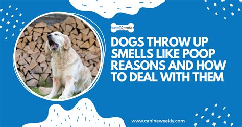 Throw Up Smells Like Dog