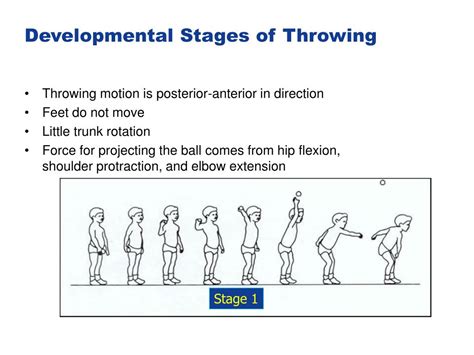 Throwing Ball Developmental Milestone