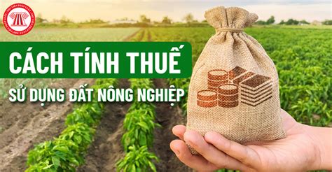 thuế sử dụng đất phi nông nghiệp