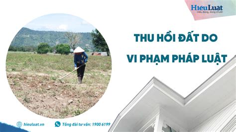 thu hồi đất do vi phạm pháp luật về đất đai