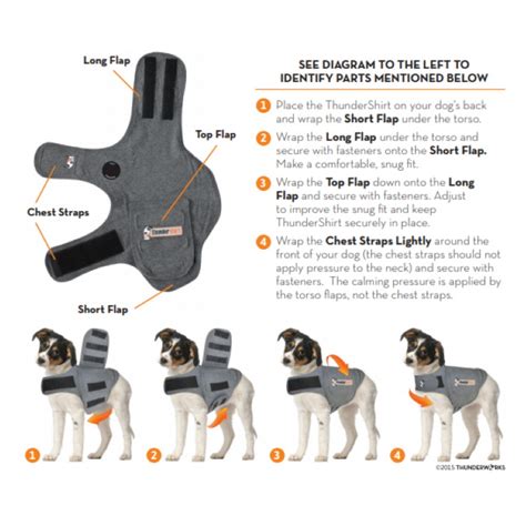 Thundershirt For Dogs Fitting
