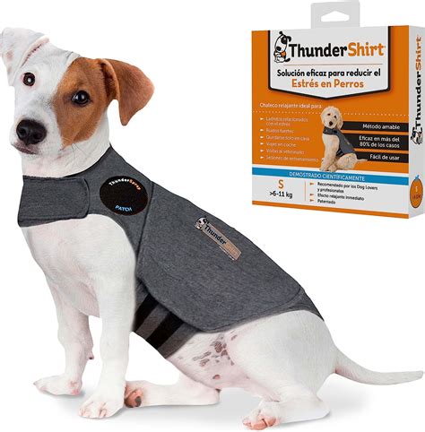 Thundershirt For Itchy Dog
