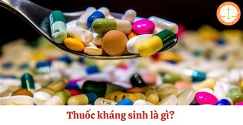 thuoc khang sinh la gi