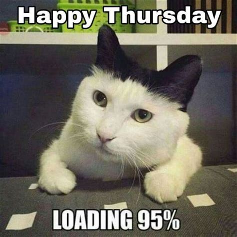 thursday animal work memes