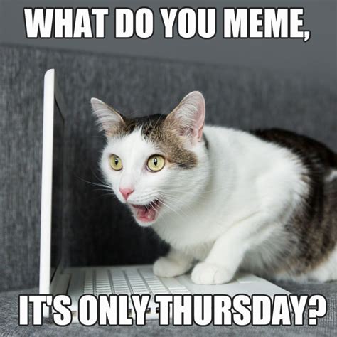 101 Funny Thursday Memes That Work Day and Night to Make You Happy