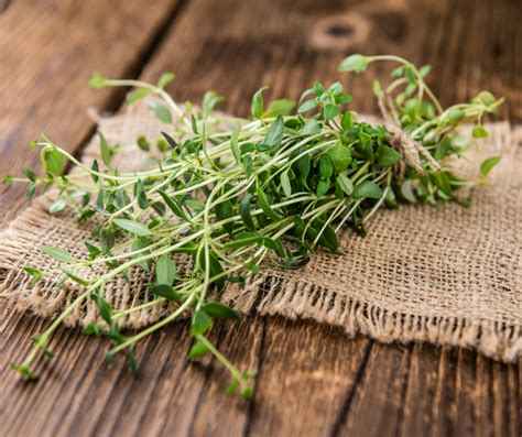 Thyme Good For Lungs