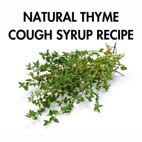 Thyme In Cough
