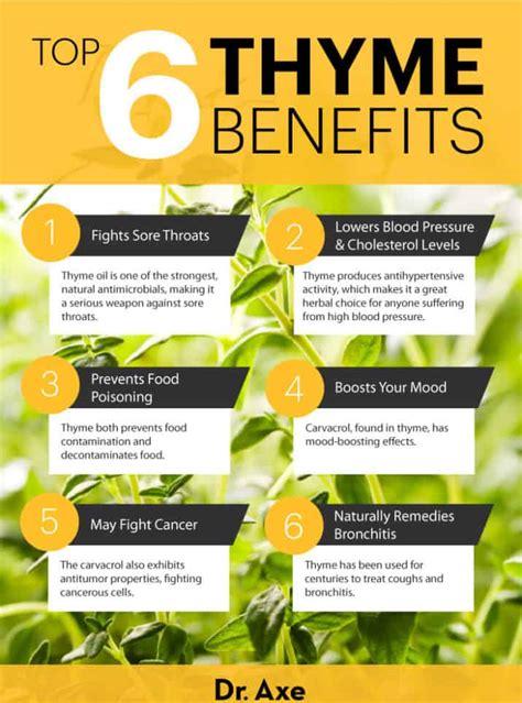 Thyme Spice Benefits