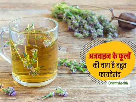 Thyme Tea In Hindi