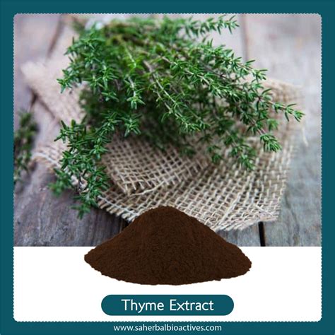 Thymus Extract Another Name