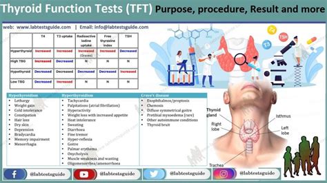 thyroid function tests tft