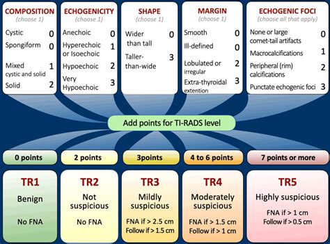 ti-rads category 3 lesion