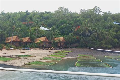 Ticket To Paradise Is Set Where