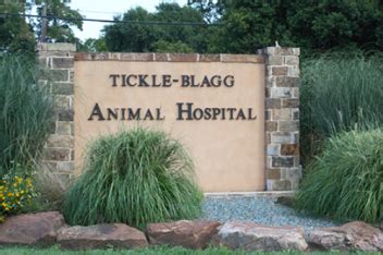 TickleBlagg Animal Hospital in San Marcos TickleBlagg