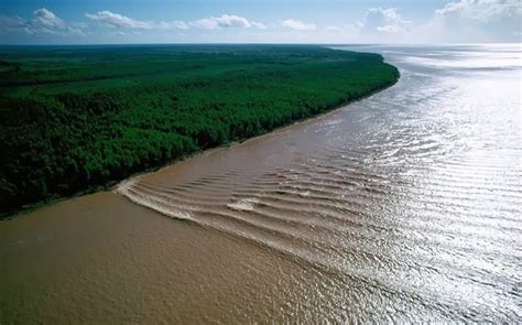 tidal bore amazon river video