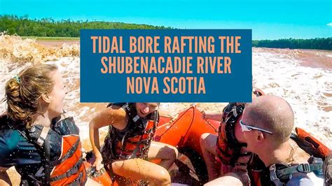 tidal bore rafting shubenacadie river