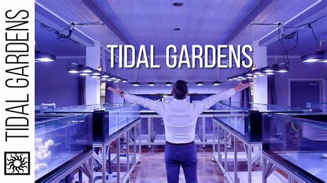 tidal gardens youtube