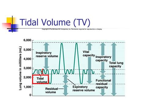tidal volume graph labeled