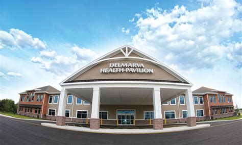 tidalhealth orthopedics millsboro de